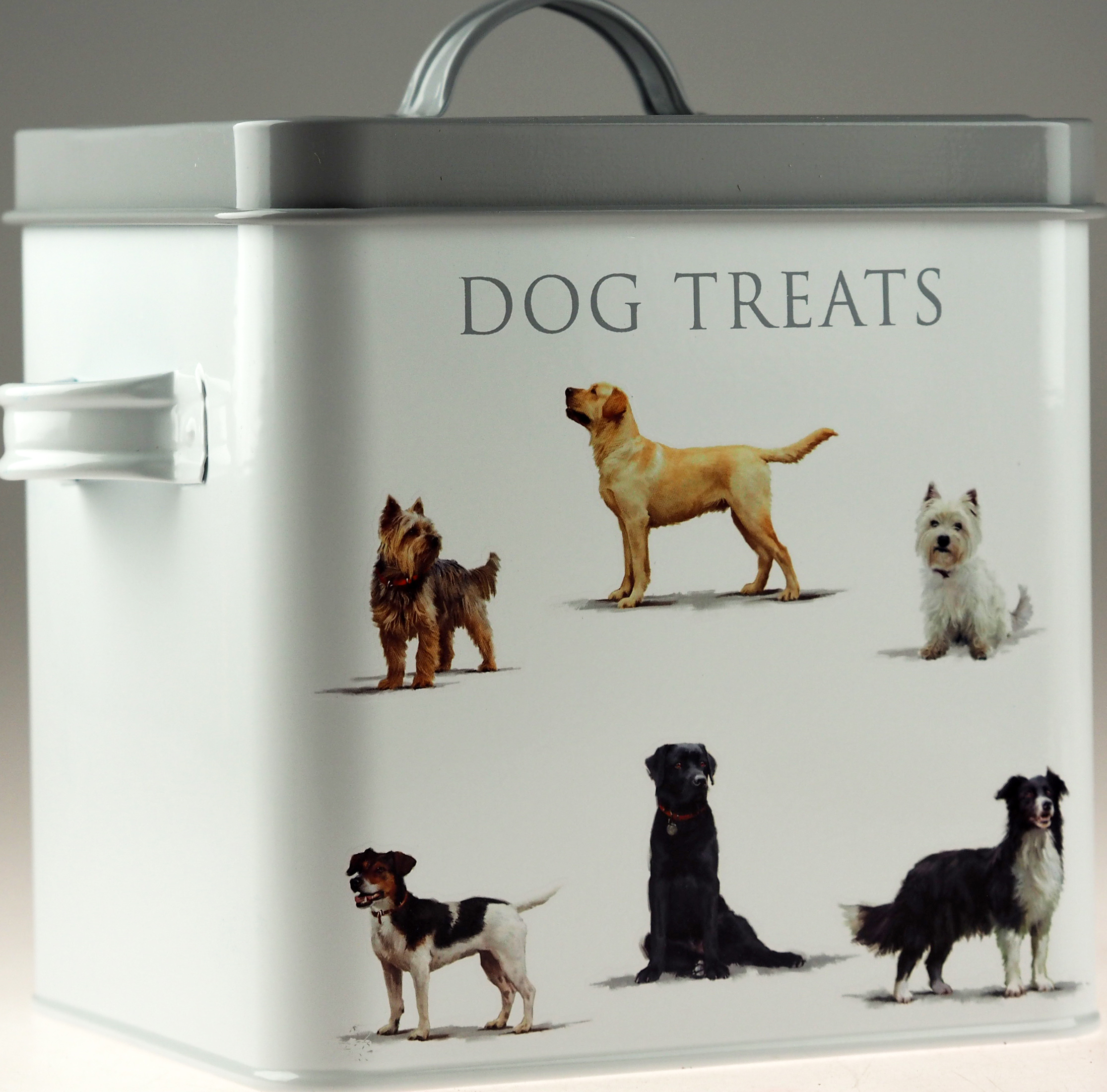 Metal Dog Food / Biscuit Storage Container eBay