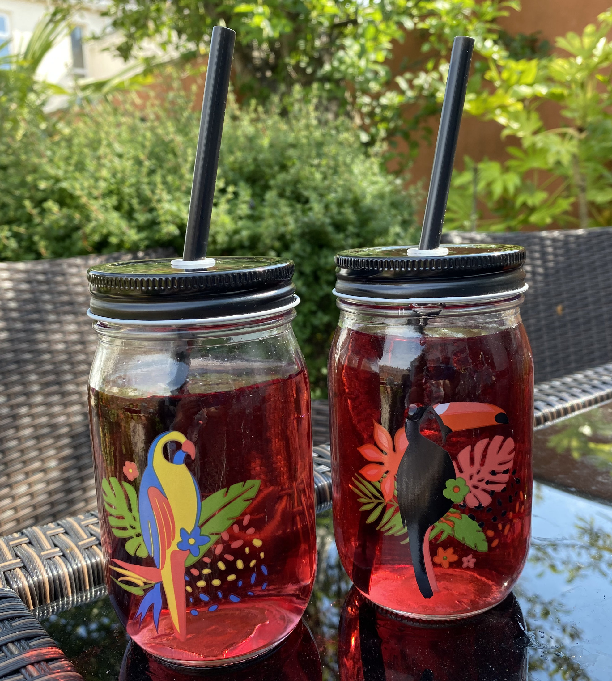 4 Glass Toucan Parrot Drinking Mason Jars With Lid And Reusable Straw