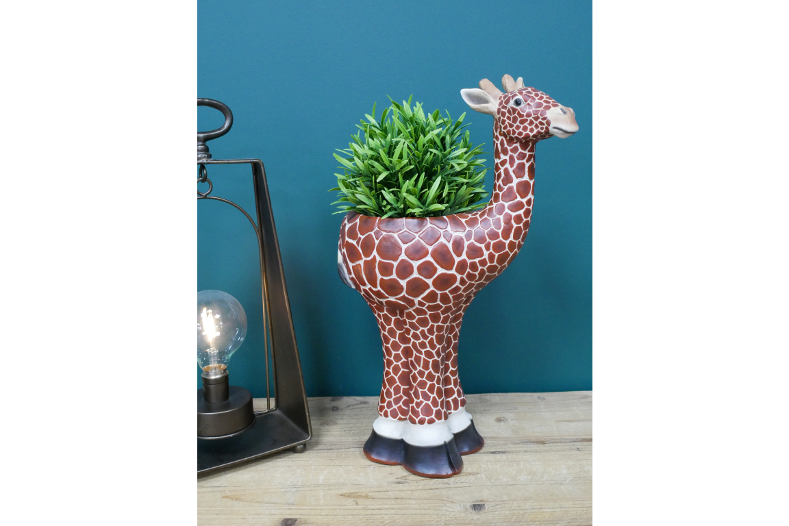43cm Funky Fun Giraffe Planter Flower Pot Plant Holder Ornament Gift | eBay  UK