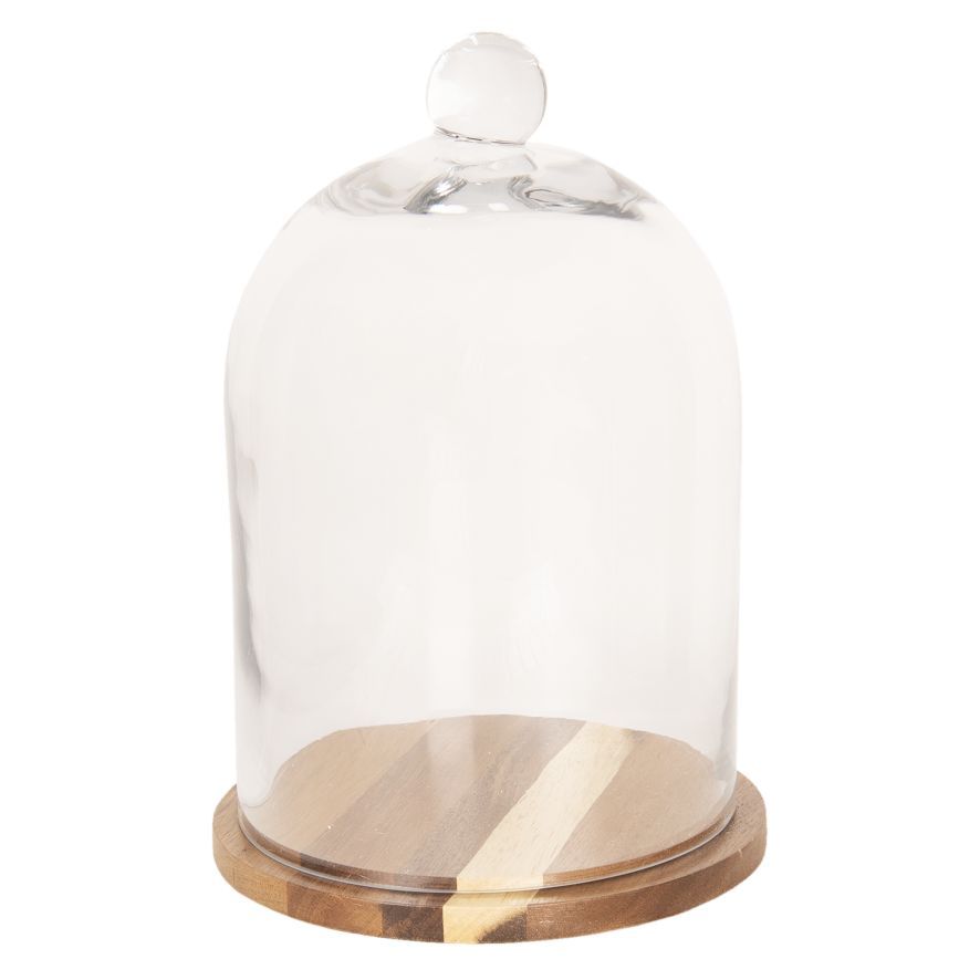 Glass Display Cloche Bell Jar Dome Flower Preservation Cover Wooden Base 33cm Ebay