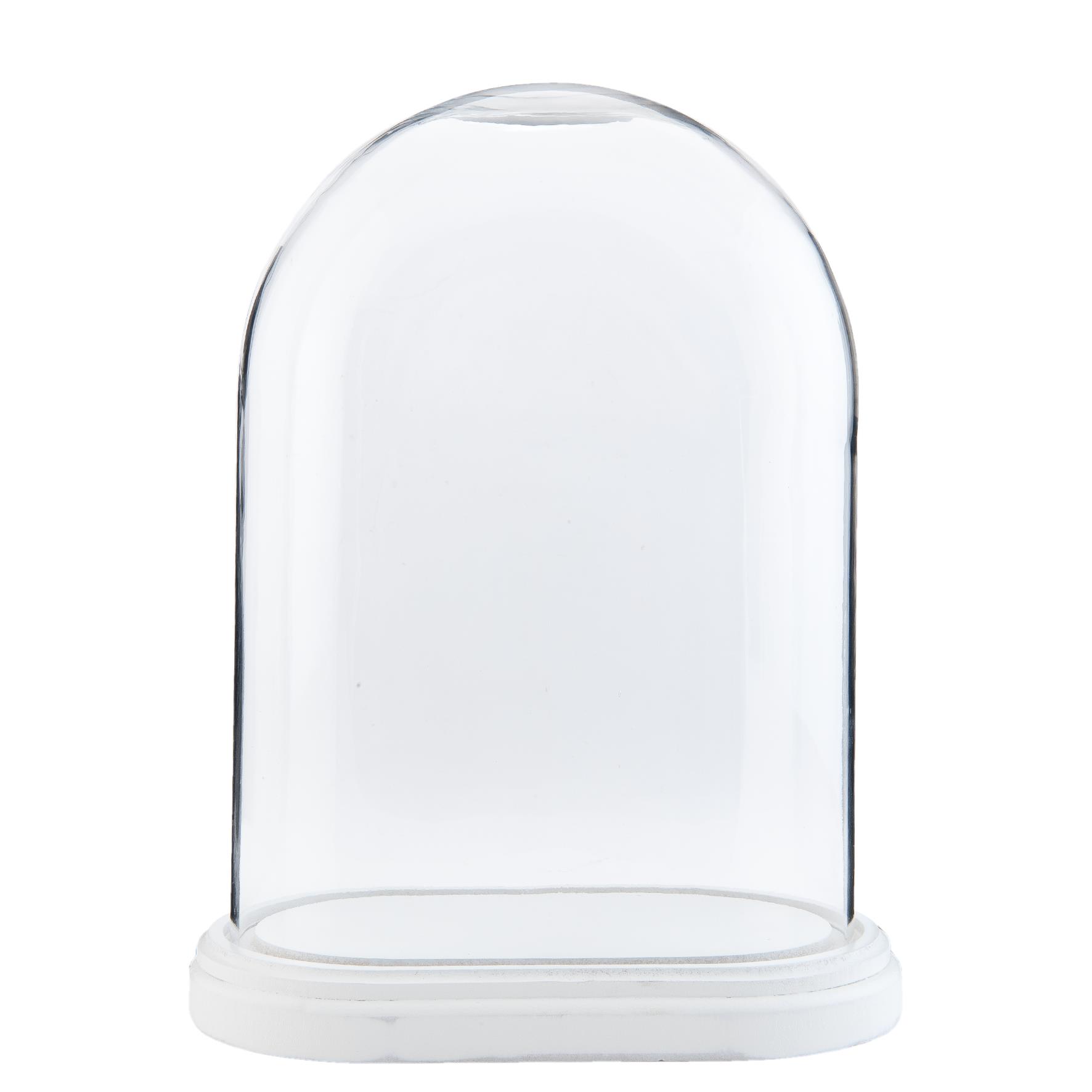 33cm Vetro Display Bell Jar OVALE cloche su base di legno Bianco