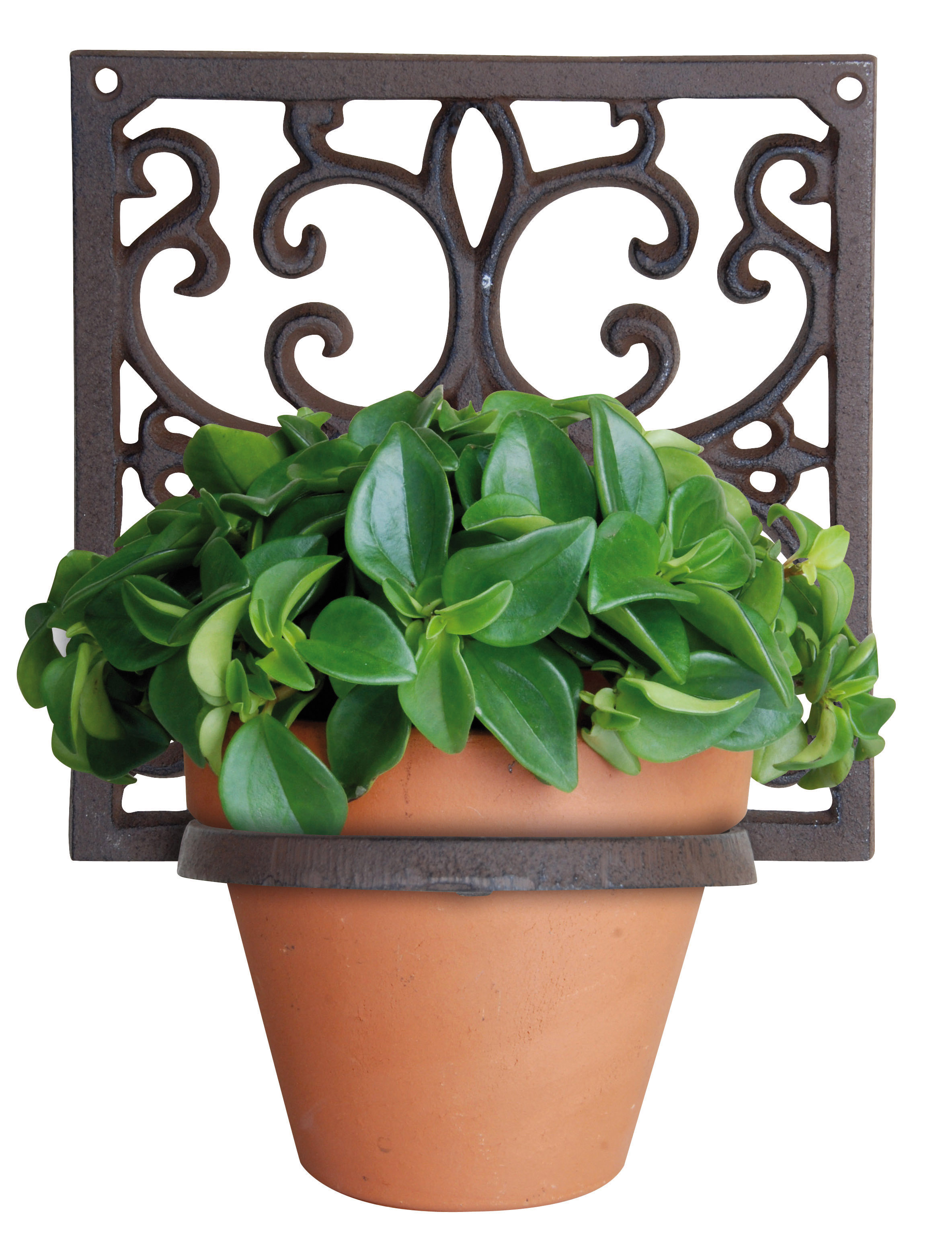 Flower Plant Pot Ring Holder Wall Mounted Hanger Bracket Cast Iron