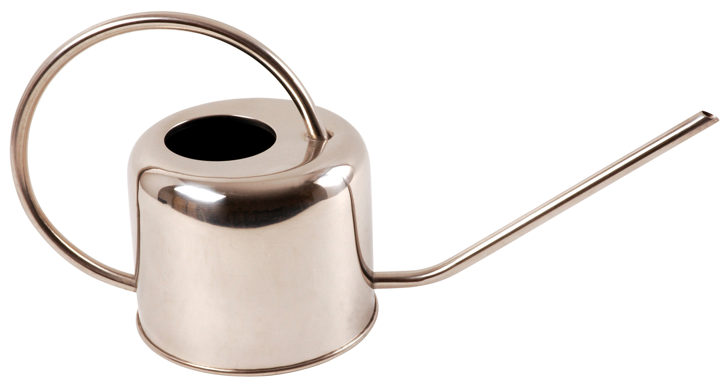 Vintage Style Small Stainless Steel Watering Can 1L Narrow Spout Indoor