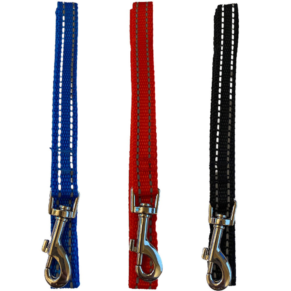 Collars / Leads / Couplers - Two Dogs On Leash Training Reflective Night Walk - 1
