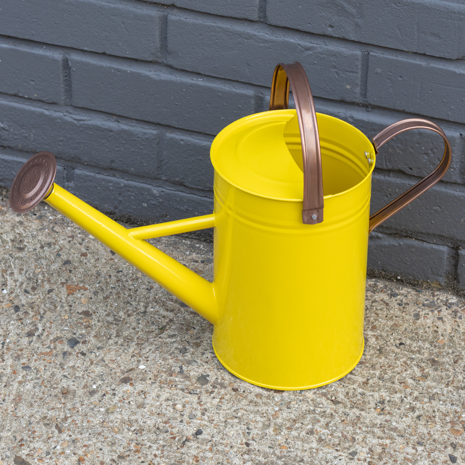 Woodside 4.5L Metal Garden and Plant Watering Can with Rose eBay