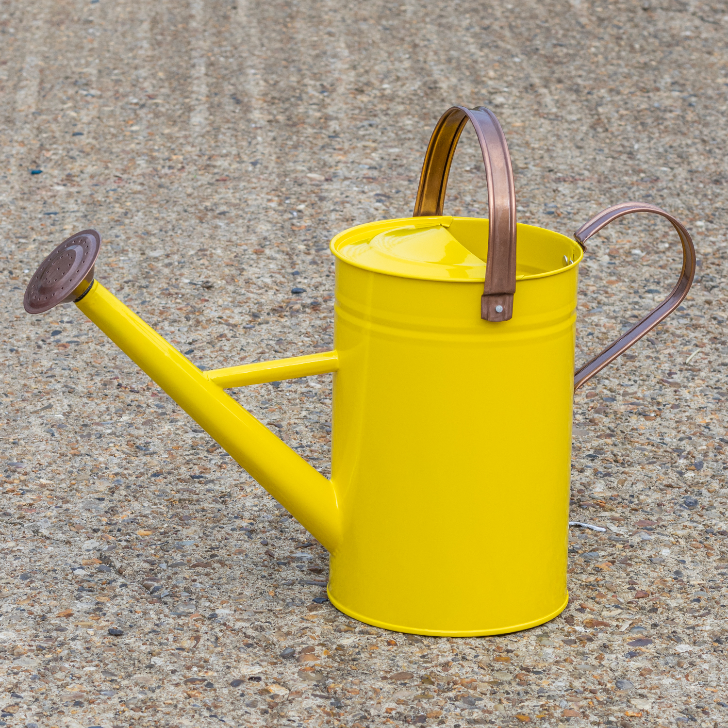 Yellow Woodside 4.5L Metal Watering Can