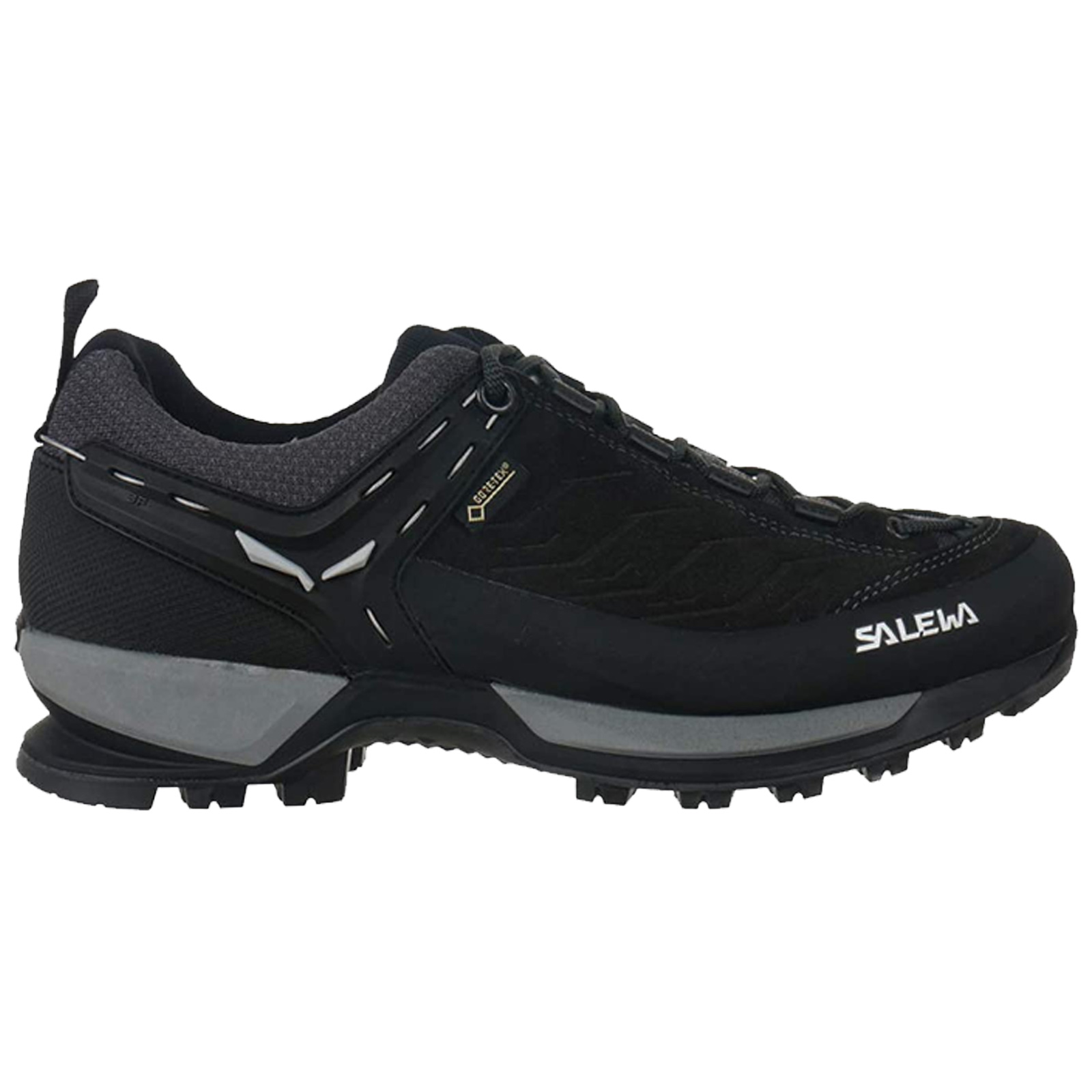 Salewa Mens Mountain GTX Trainers Gore-Tex Waterproof Vibram Shoes ...