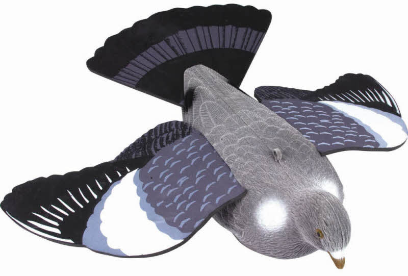 Jack Pyke Full Body Flocked Flying Pigeon Decoy Realistic Decoys Foam Wings Tail eBay