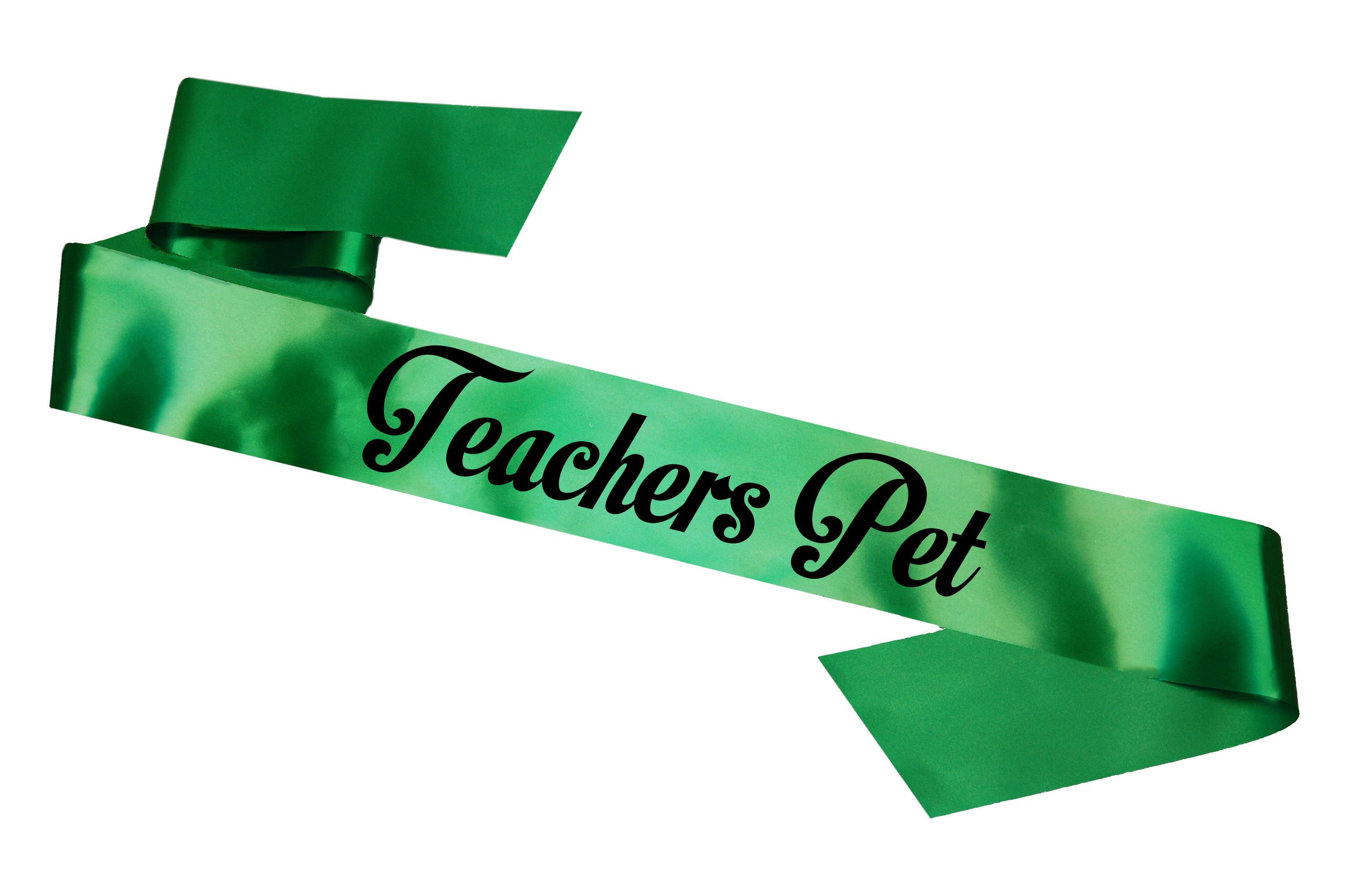 Award Sashes for Students & Teachers Prom Yearbook End of School Sash