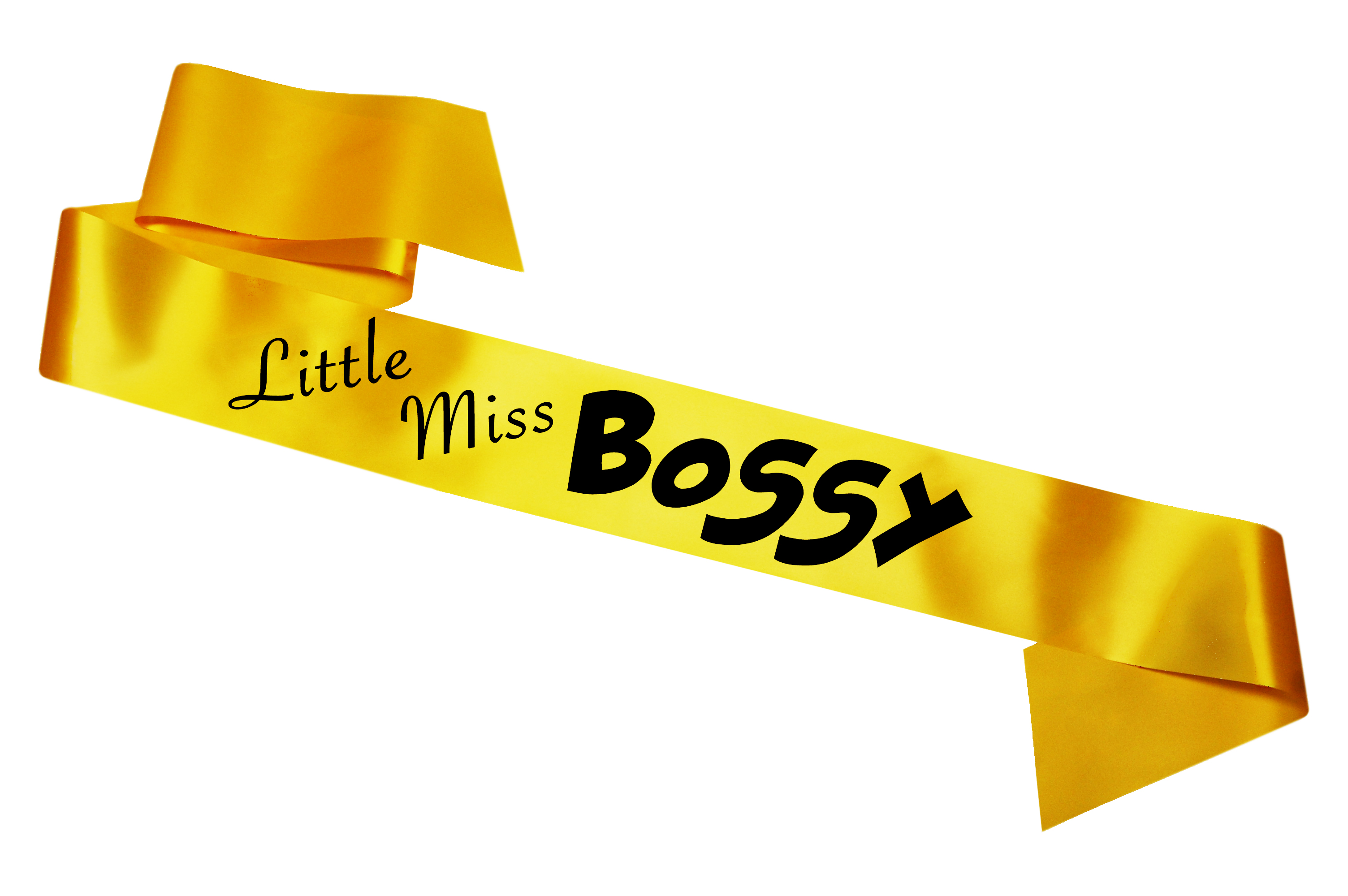 Little Miss Hen Party Sashes Novelty Night Do Funny Bride Bridesmaid