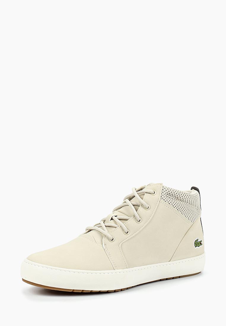 lacoste trainers high tops
