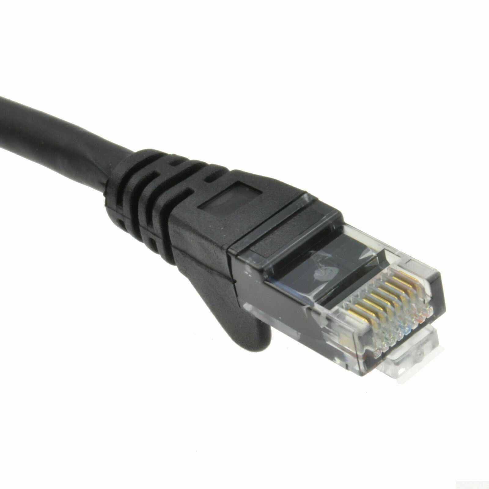 large image 4