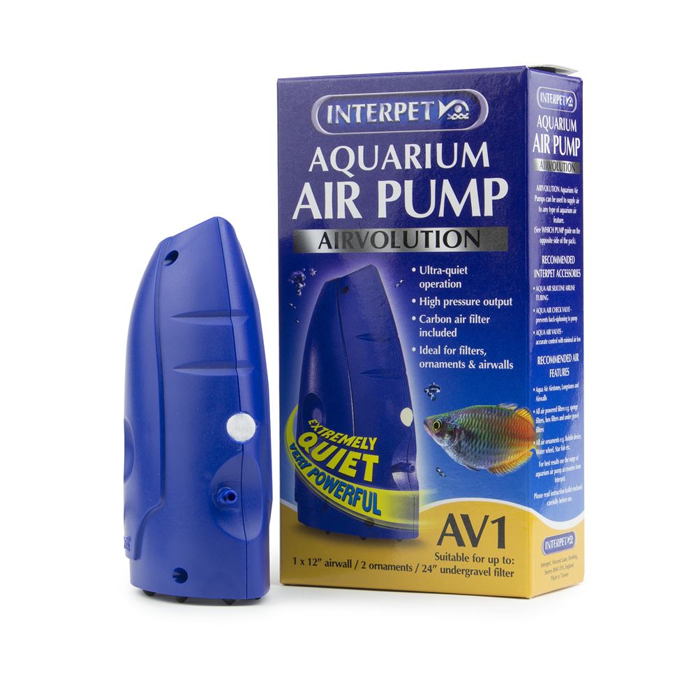 goldfish aquarium with pump