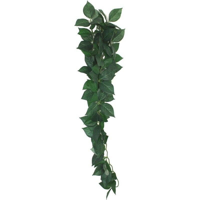 Komodo Reptile Hanging Plant Vine Silk Ficus Climbing Trailing Hide ...