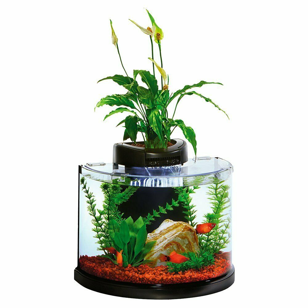 Superfish Aquaponics 10L Aquarium Mini Fish Tank With