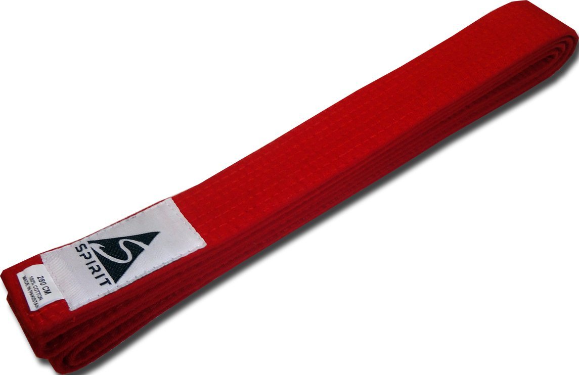 Martial Arts Red Belt for Kids Karate Judo Taekwondo Jujitsu 240cm | eBay