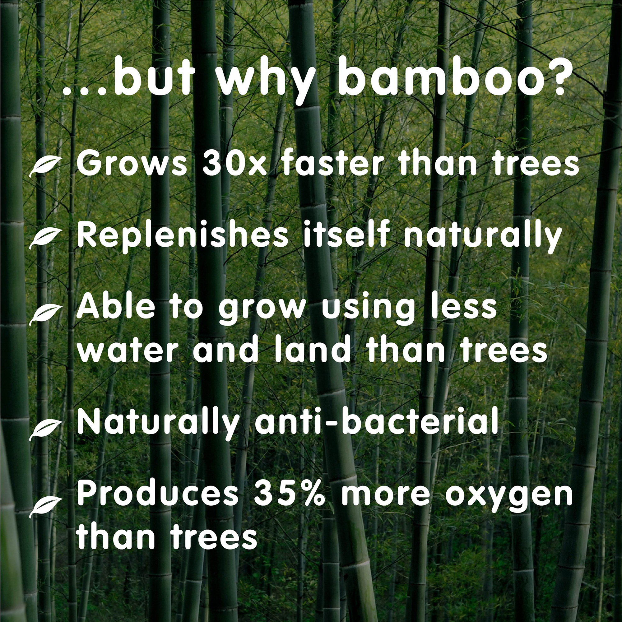 Bamboo Toilet Rolls 12-48 Pack 3-Ply Strength, Plastic-Free Tissue, 300 sheets - Picture 16 of 19