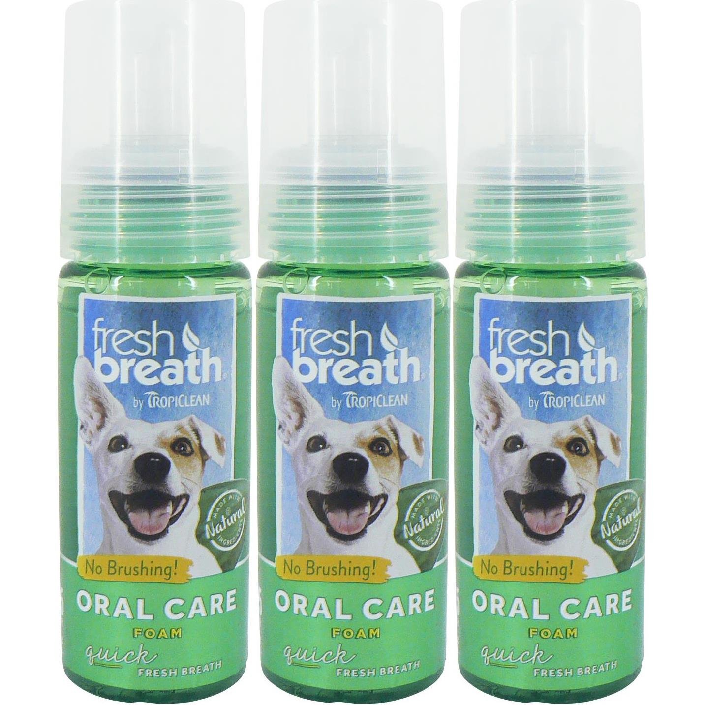 Fresh breath outlet oral care foam