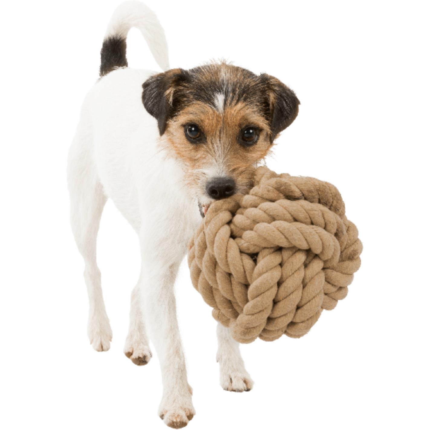kloon onderzeeër thema Trixie Be Nordic Rope Ball Toy for Dogs, Tau Fetch Ball, 13 cm,  Polyester/Cotton | eBay