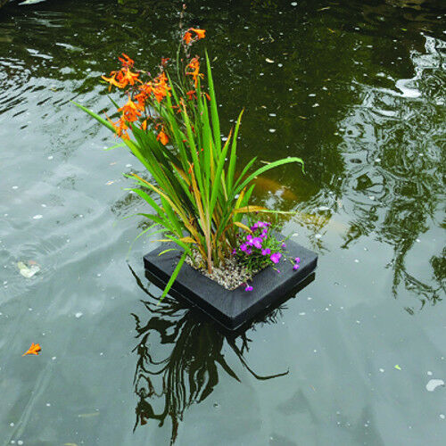 PondXpert Floating Pond Planter Square Plant Island Basket Aquatic Lily