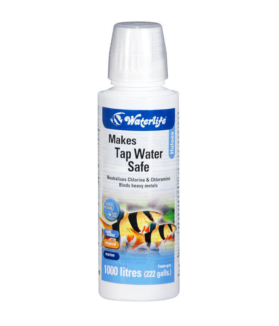 tap safe for cold water fish