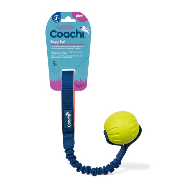 Dog Training Toys COACHI Training Tools Dumbbells Dummys Soft Retrieve Tug Toys - Picture 22 of 25