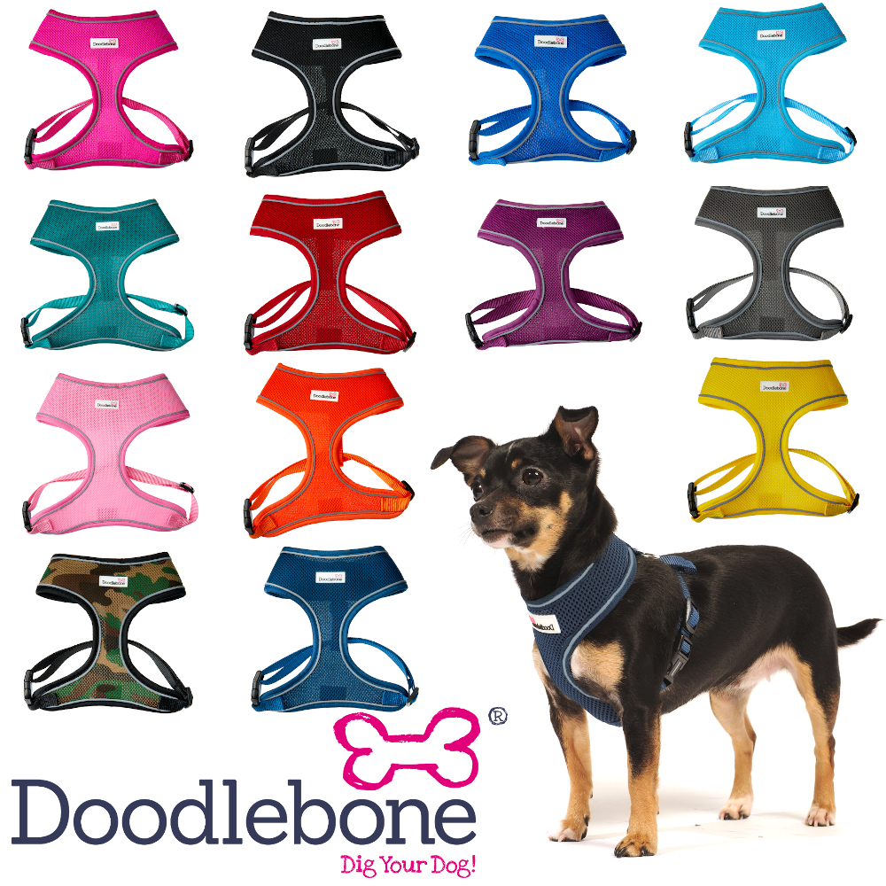 Colourful dog harness Clearance