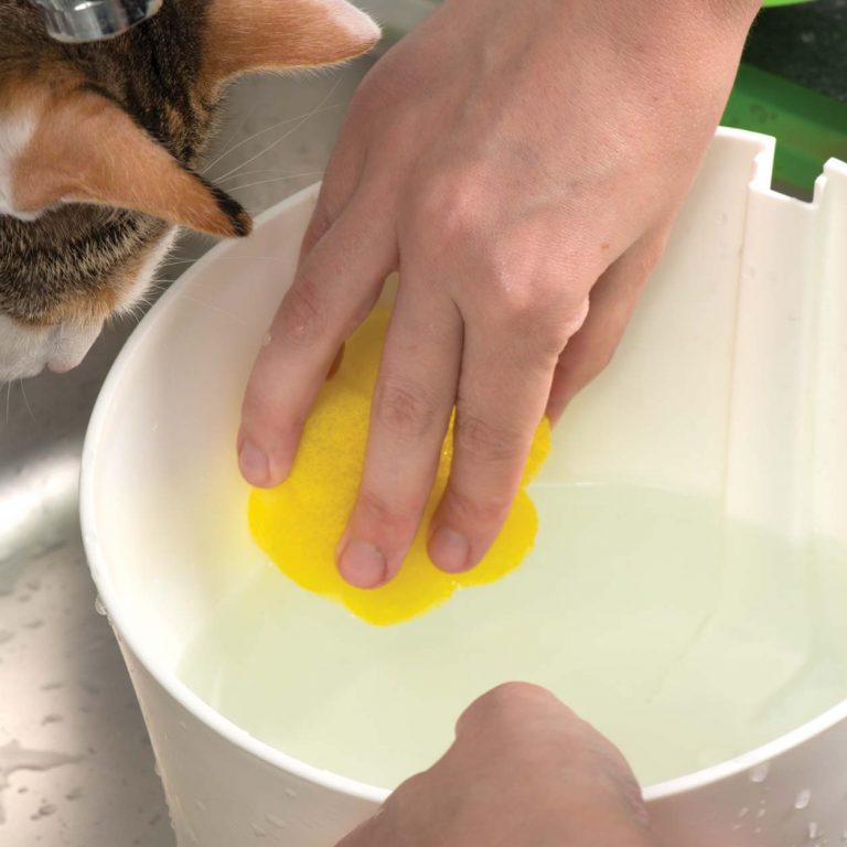 Catit Cat & Kitten Drinking Water Flower Fountains Replacement