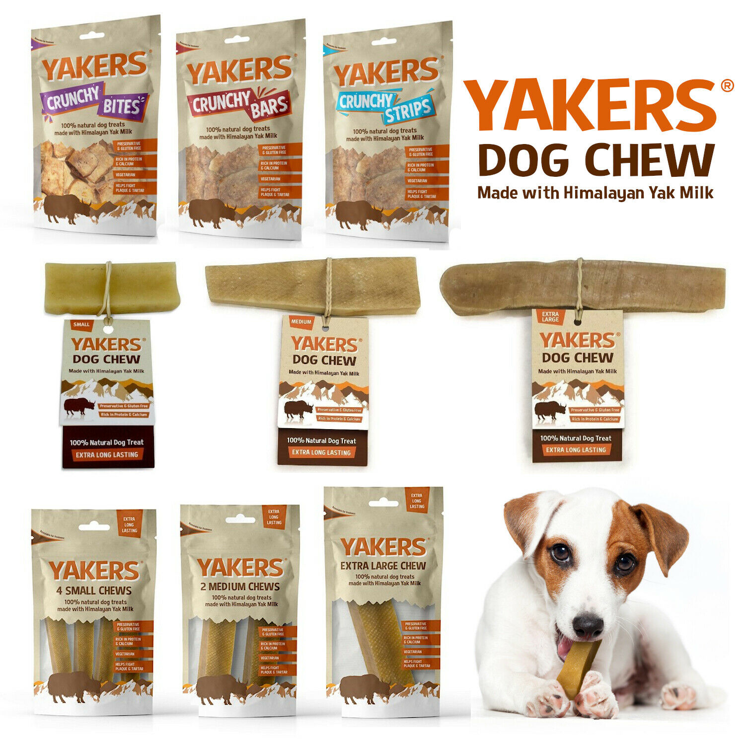 Yakers Dog Natural Chews & Treats Made from Himalayan Yaks Milk! Long Lasting! eBay