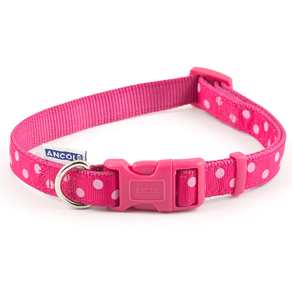 Ancol Dog Collar and Lead Set for Puppy and Small Dogs 3 Designs Red Blue Pink