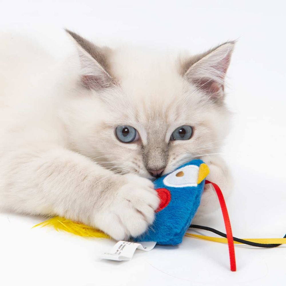 catit cat toys