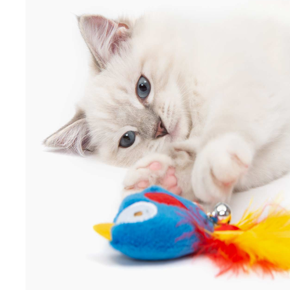 catit cat toys