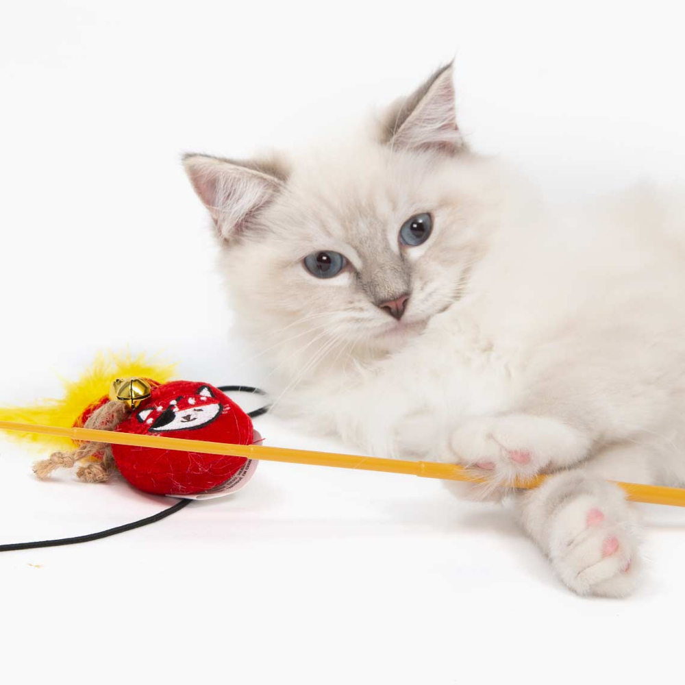 catit cat toys