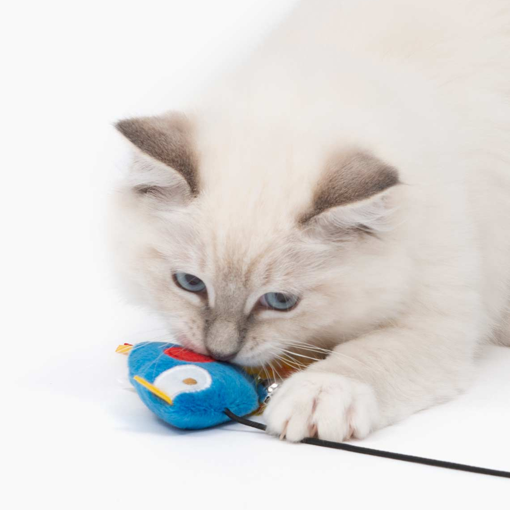 catit cat toys