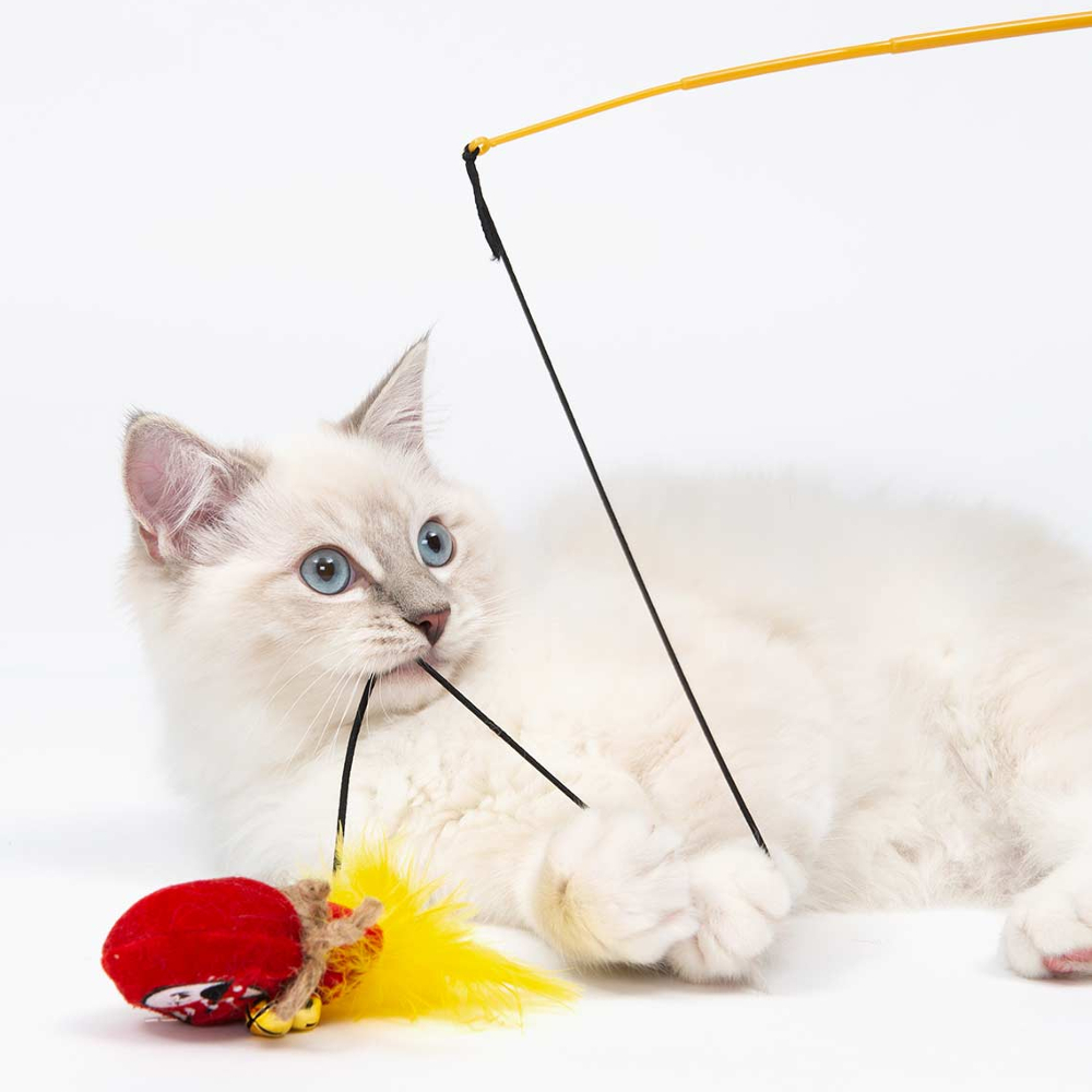 catit cat toys