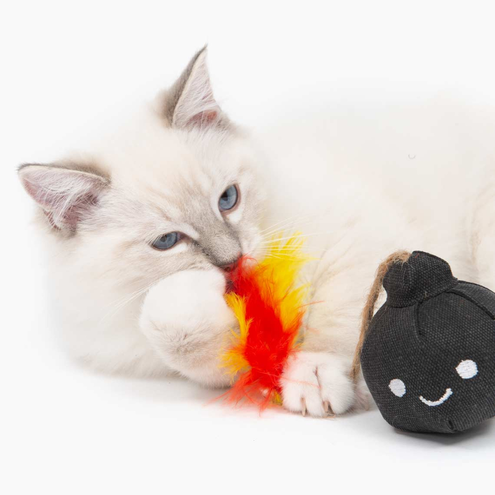 catit interactive cat toys