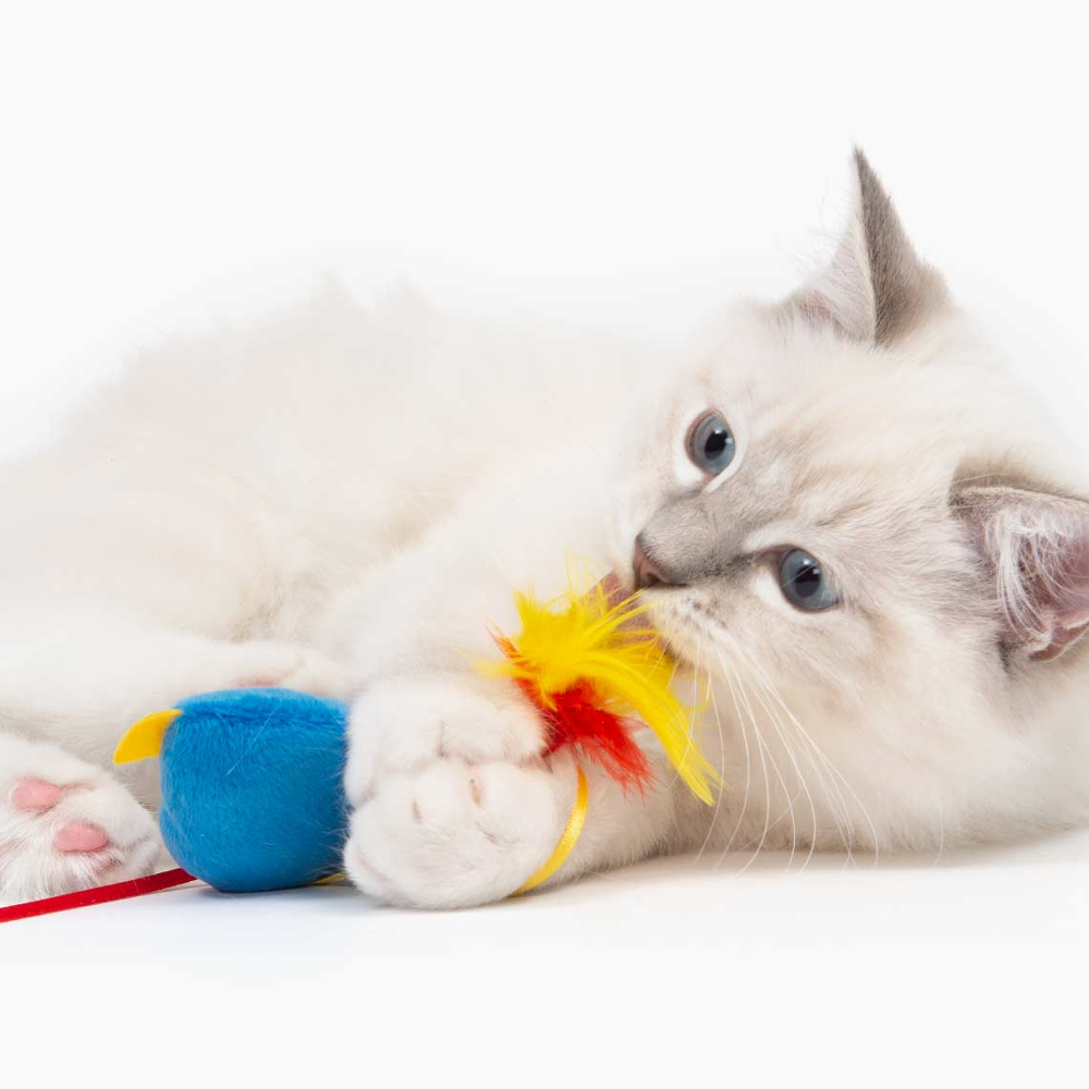 catit cat toys