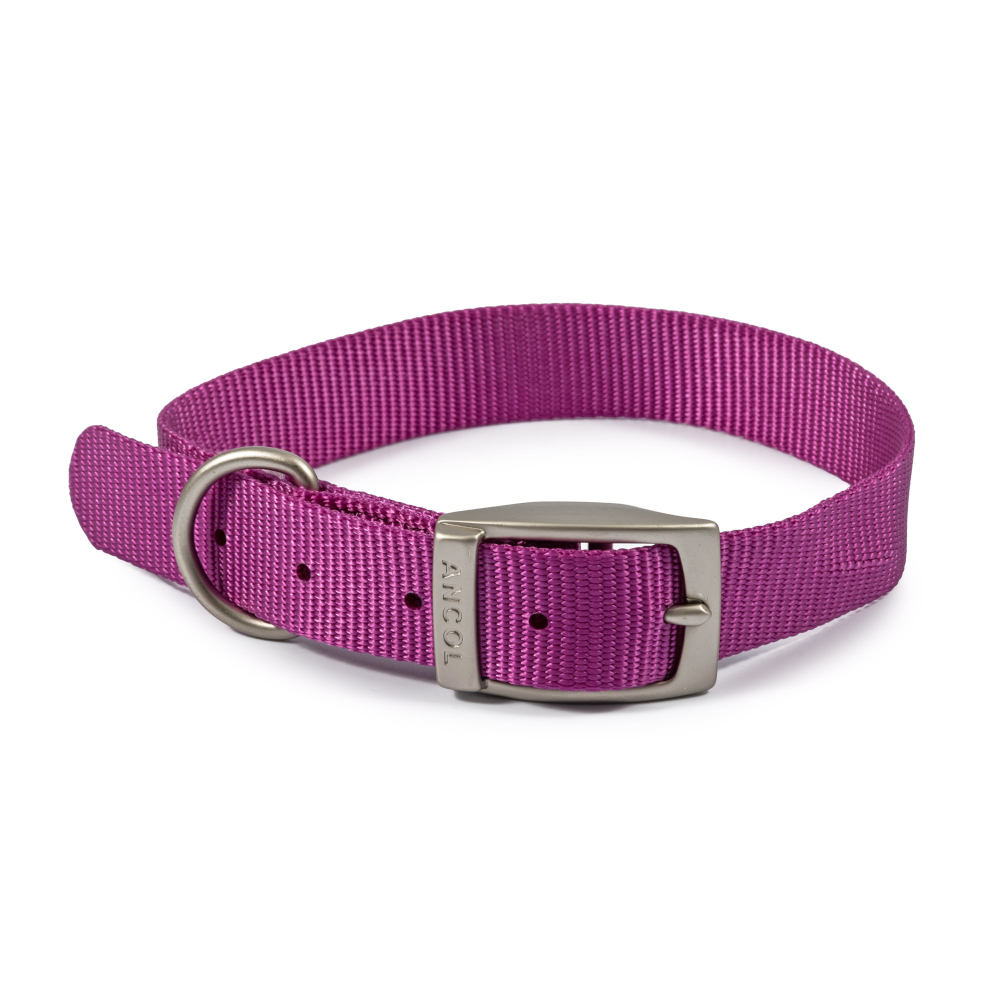 Ancol Viva Dog Puppy Nylon Collars Quick Fit Buckle Neoprene Padded 6 ...