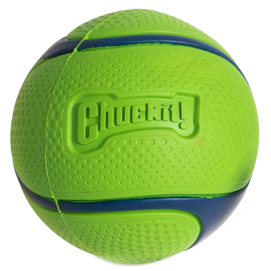 Erratic ball outlet chuckit