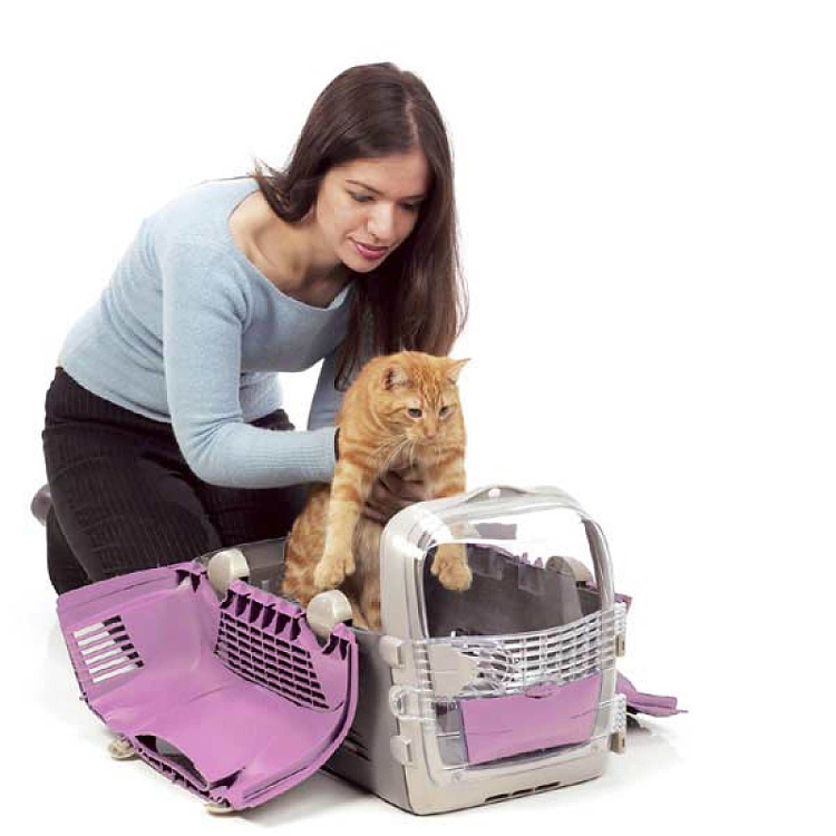 Cabrio Cat & Dog Carrier Transporter Portable Pet System 5 Colours | eBay