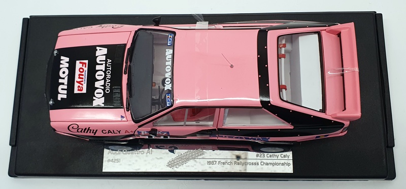 Sun Star 1/18 Scale 4251 - 1987 Audi Quattro #23 AI French