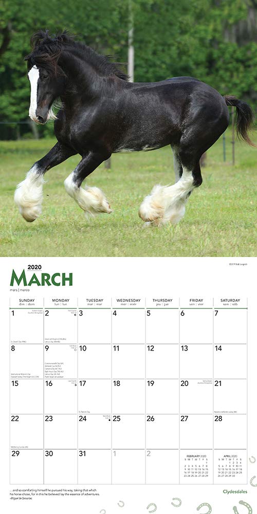 Clydesdales 2020 Wall Calendar Ideal for owners or lovers of these