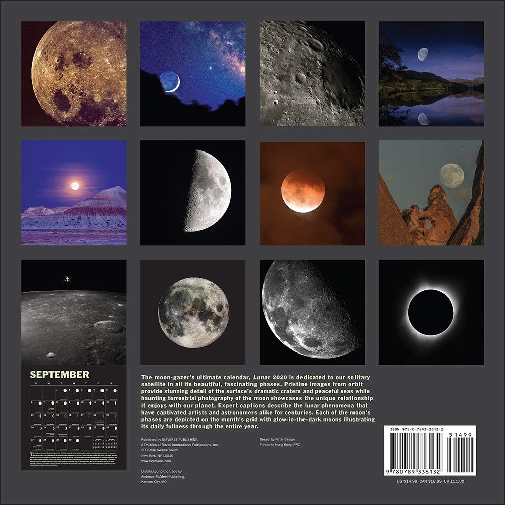 Lunar 2020 Square Wall Calendar 30x30cm Glow in the Dark NEW eBay
