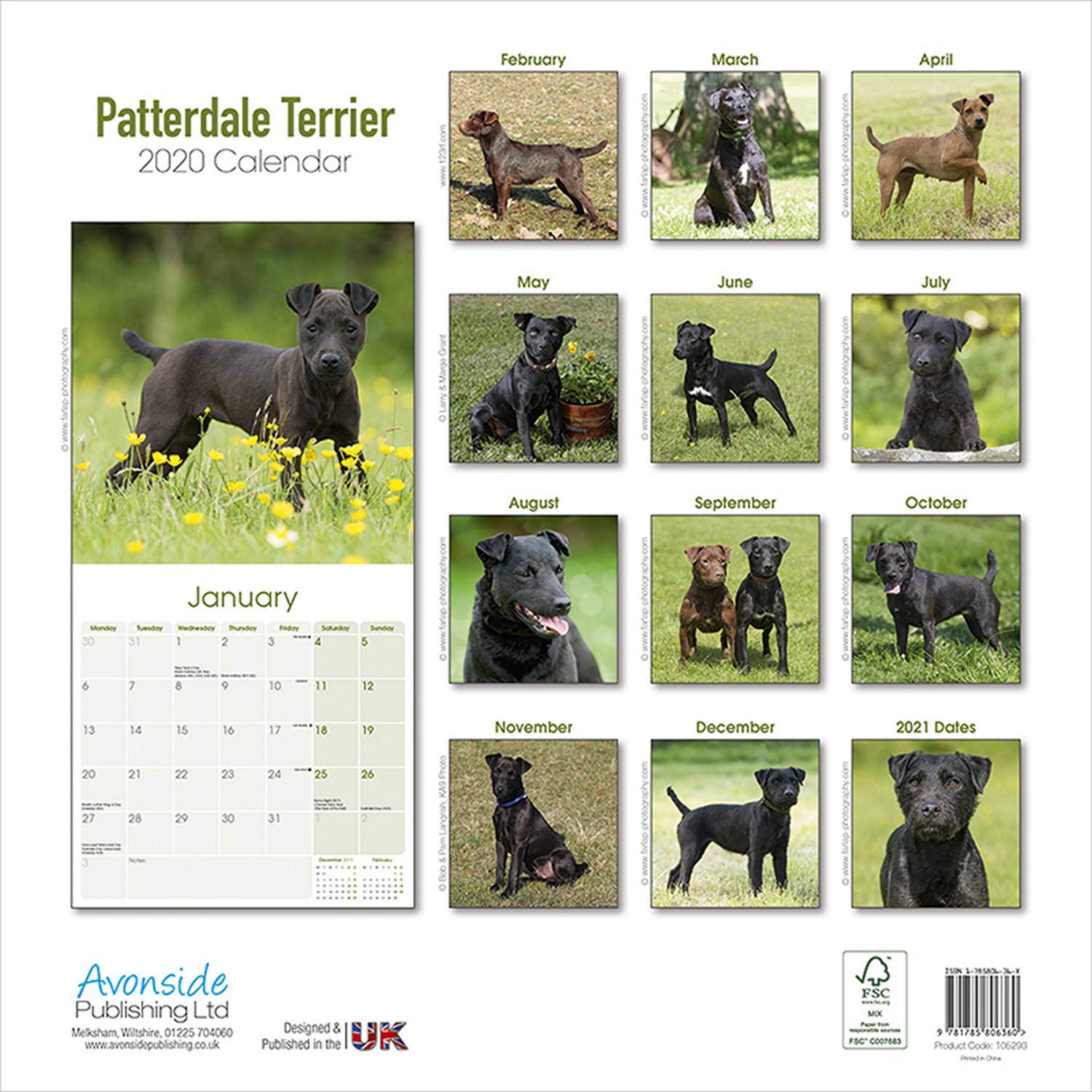 Patterdale Terrier Wall Calendar 2020 30x30cms Ideal for lovers and