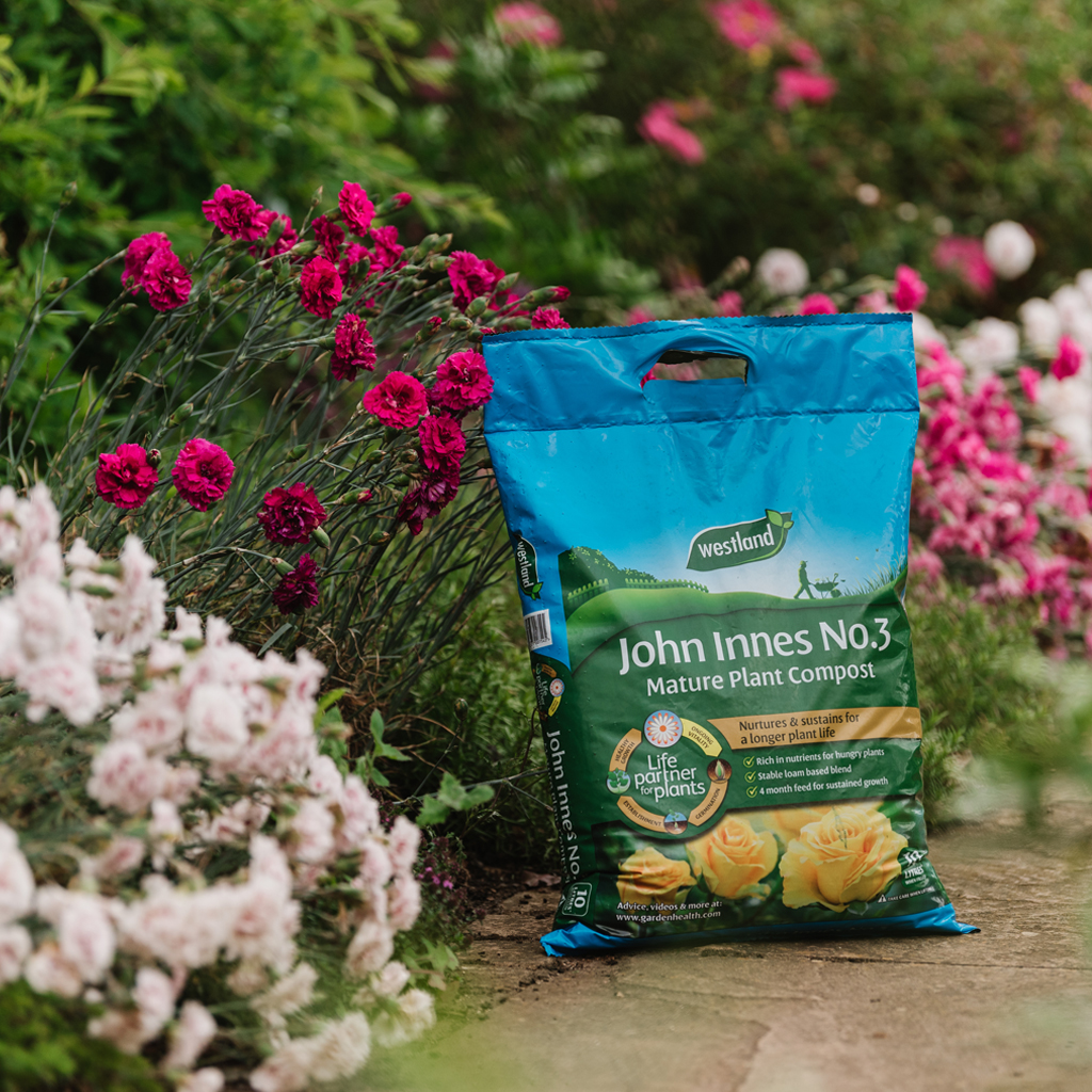 Westland John Innes No 3 Mature Plant Compost with 4 Month Feed - 10L ...