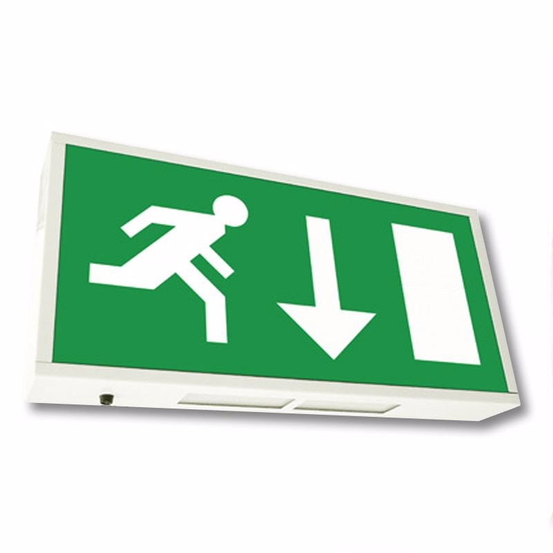 Emergency Exit Sign High Visibility Bulkhead Maintained / Non