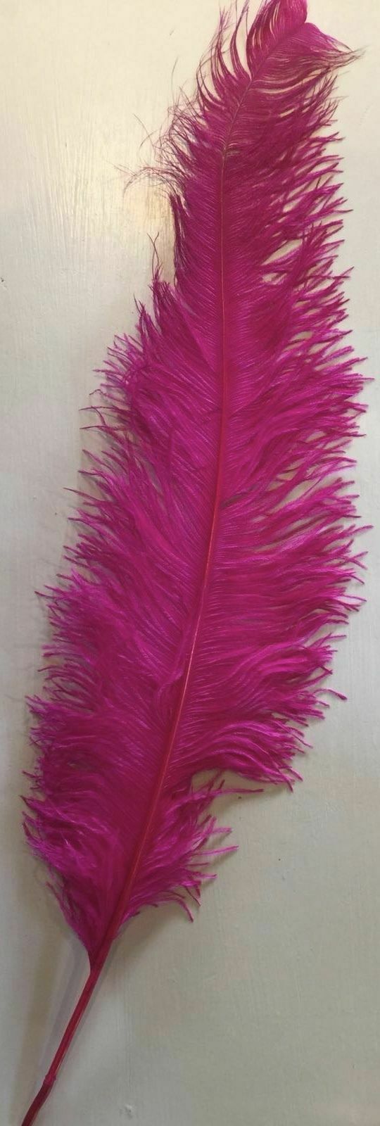 Large Ostrich Feathers 20-22 INCHES Long ALL COLOURS Centerpieces Wedding  Party