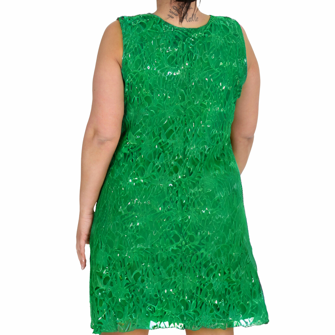 Nouvelle Plus Size Women Stylish Flapper Lace Style Dress with Sequin Detailing - Picture 33 of 33