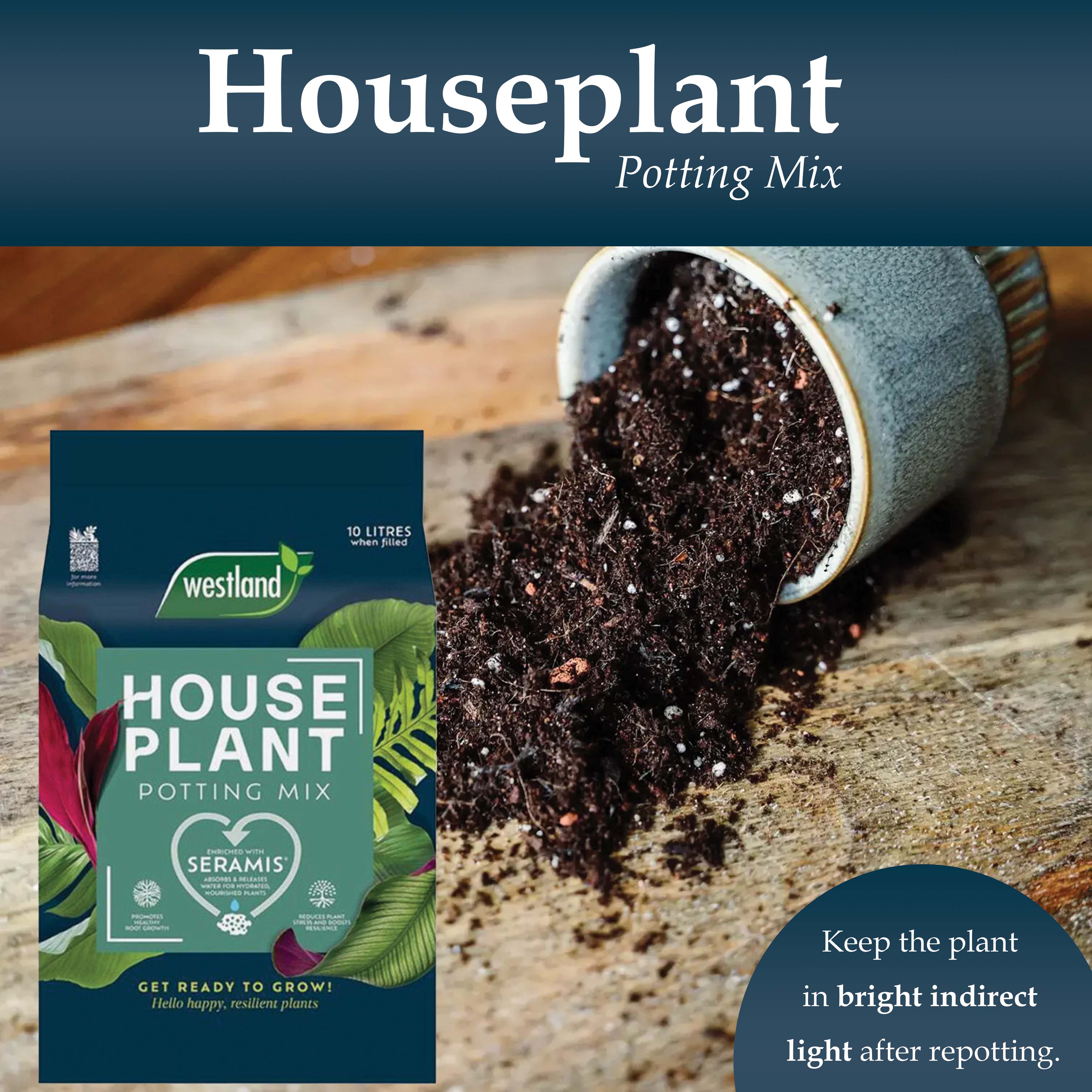 Westland Houseplant Potting Mix for Healthy Root Growth 10L Image 3