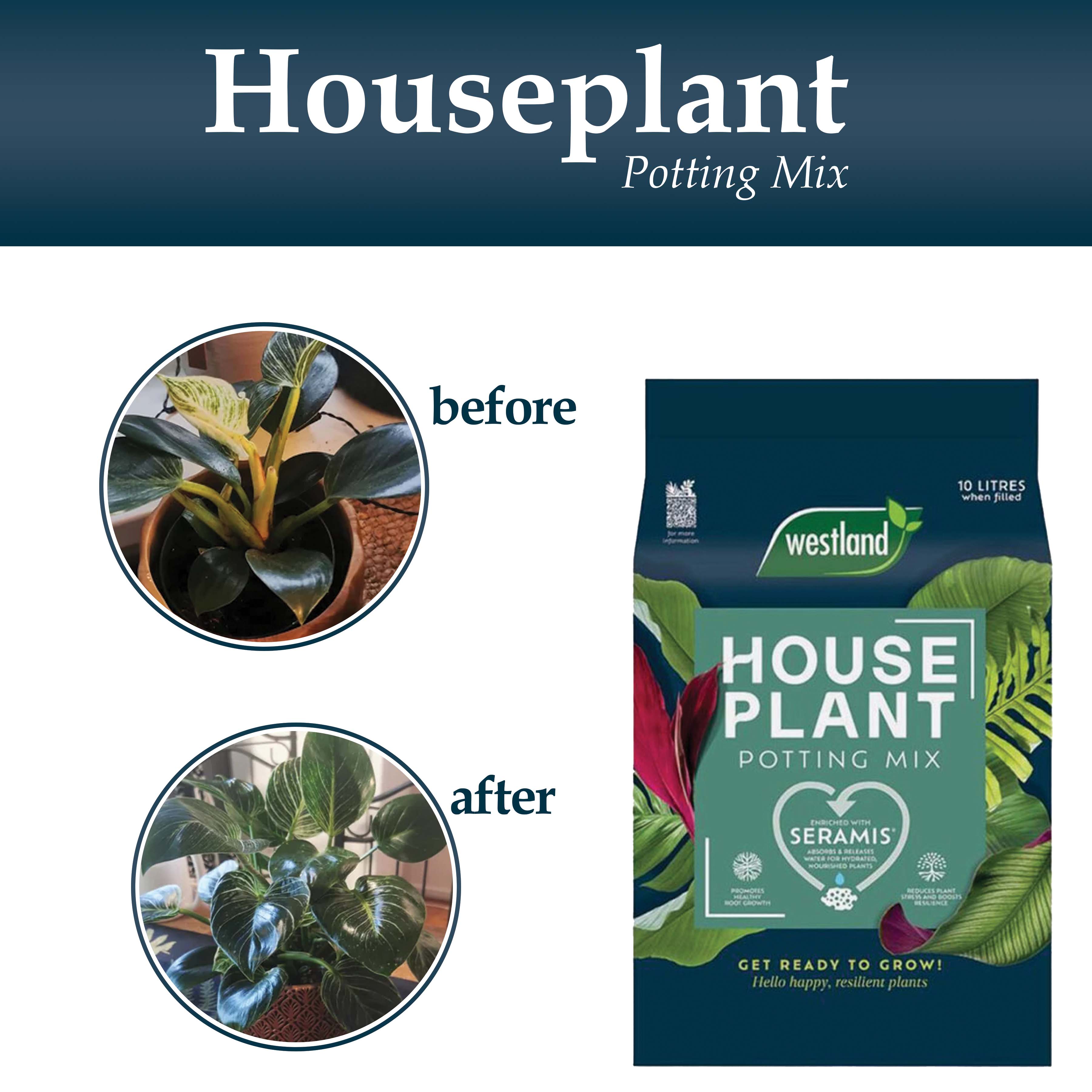 Westland Houseplant Potting Mix for Healthy Root Growth 10L Image 4
